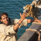 Image for article titled Sinbad & Primeval: New World